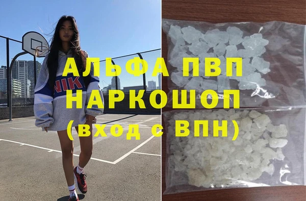 сатива Курчалой