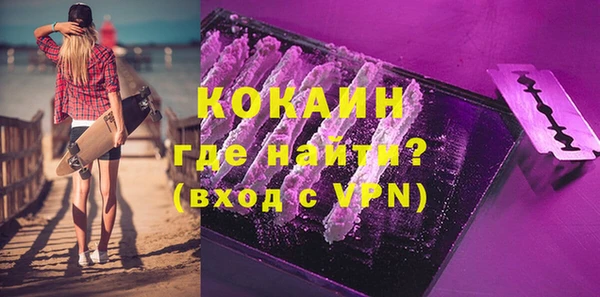 хмурый Куртамыш